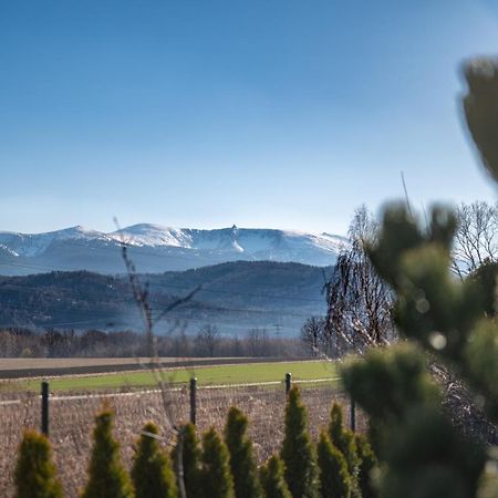 Domki W Karkonoszach Szmaragdowy Widok Wojcieszyce المظهر الخارجي الصورة